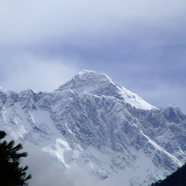 DSCF1208.JPG