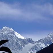 DSCF1224.JPG
