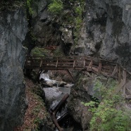 IMG_1717.JPG