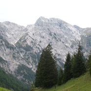 IMG_1750.JPG