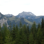 IMG_1753.JPG