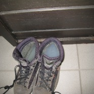 IMG_1767.JPG